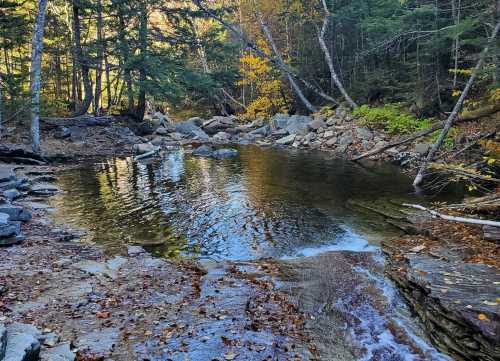 A serene forest scene featuring a calm pond surrounded by rocks and autumn foliage. Sunlight filters through the trees.