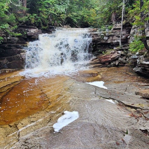 A serene waterfall cascades over rocky terrain, surrounded by lush greenery and a tranquil pool below.