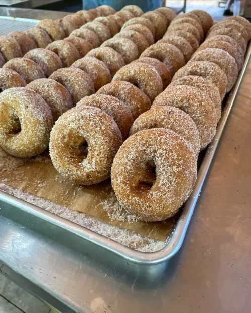 A tray of freshly made, sugar-coated donuts arranged in neat rows.