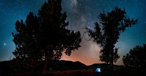 A starry night sky with the Milky Way, framed by trees and a glowing tent in a serene outdoor setting.