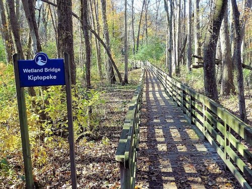 A wooden boardwalk leads through a forested area, with a sign for Wetland Bridge at Kiptopeke.