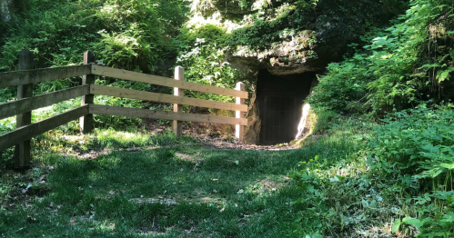 A rocky cave entrance surrounded by greenery, with a wooden fence and stone steps leading up beside it.