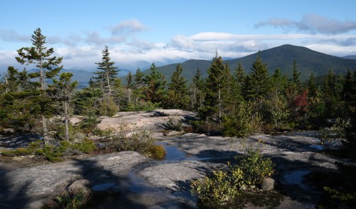 A scenic view of a rocky landscape with trees and mountains under a clear blue sky.
