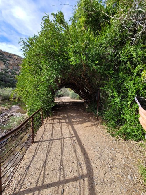 A scenic pathway lined with lush greenery, leading through an archway of trees beside a river.