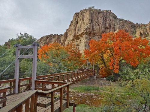 A wooden suspension bridge leads through vibrant autumn trees and rocky cliffs under a cloudy sky.