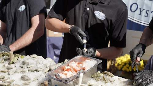 A person in a black shirt shucking oysters at a seafood event, surrounded by ice and various shellfish.