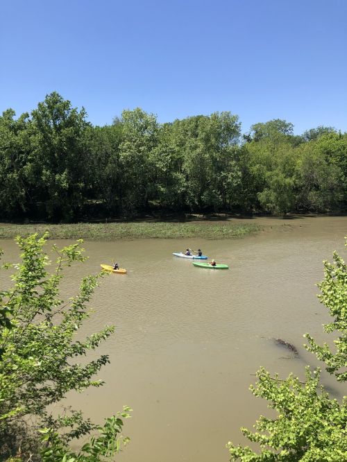 Three kayakers paddle on a calm river surrounded by lush green trees under a clear blue sky.