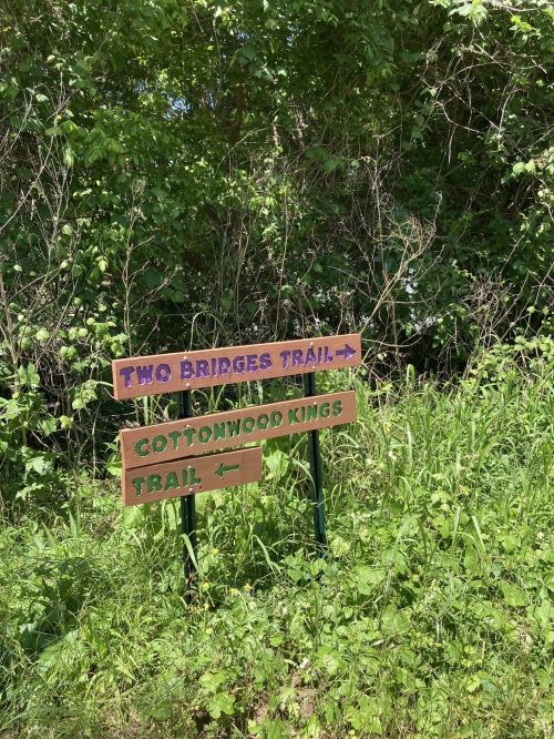 Two wooden trail signs pointing left: "Two Bridges Trail" in purple and "Cottonwood Kings Trail" in green, surrounded by greenery.
