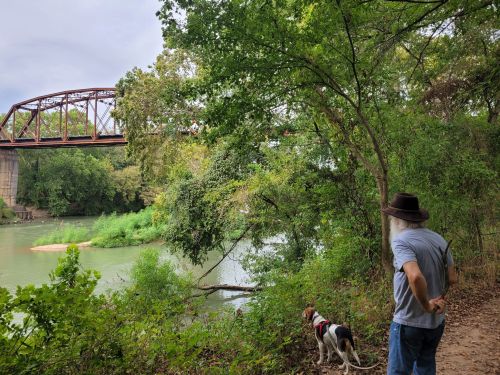 A person in a hat stands by a river, watching a dog near the water, with a bridge and trees in the background.