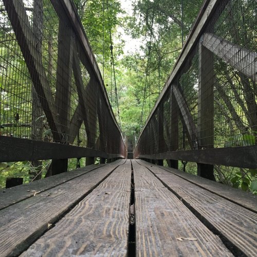 A wooden suspension bridge stretches into a lush green forest, viewed from a low angle along the walkway.
