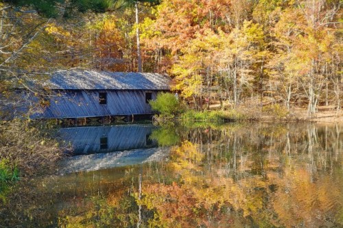 A rustic wooden cabin by a calm pond, surrounded by vibrant autumn foliage reflecting in the water.