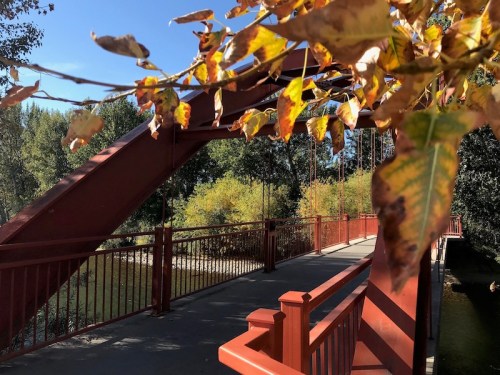 A red bridge surrounded by autumn leaves and greenery under a clear blue sky.