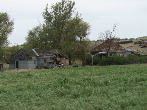 Two dilapidated houses surrounded by overgrown grass and trees, set against a cloudy sky.