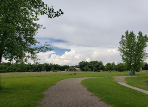 A grassy park with a winding path, trees, and a cloudy sky in the background.