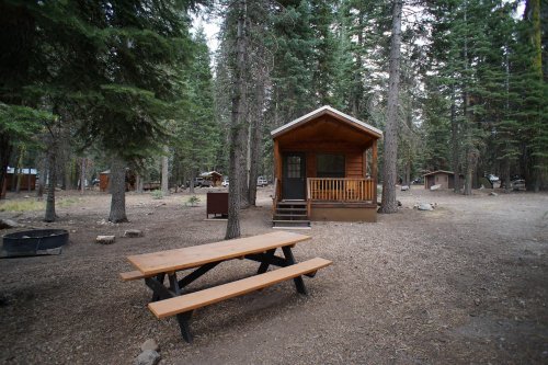 A rustic cabin surrounded by tall trees, with a wooden picnic table in front on a gravel area.