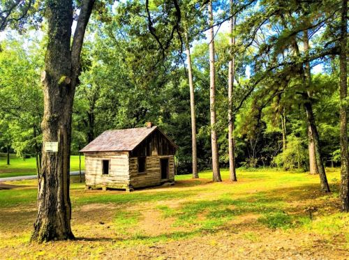 A rustic wooden cabin surrounded by tall trees and green grass in a serene outdoor setting.