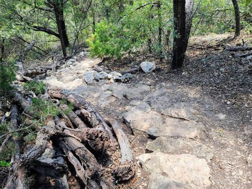 A rocky trail winding through a wooded area, surrounded by trees and scattered logs.