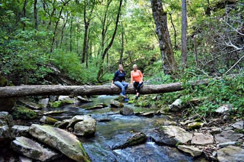 Two people sit on a fallen log over a stream, surrounded by lush green trees and rocky terrain.
