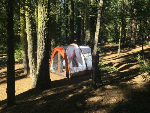 A tent set up in a forest, surrounded by tall trees and dappled sunlight filtering through the leaves.