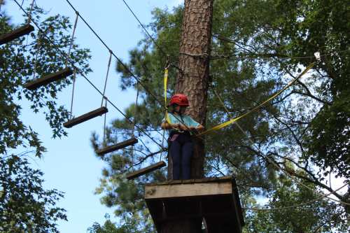A person in a helmet stands on a platform in a tree, preparing to navigate a rope course among the trees.