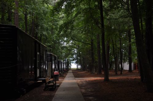 A tree-lined path between cabins leads to a distant view of water, surrounded by lush greenery.