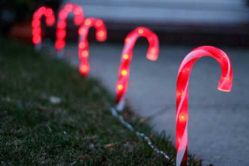 A row of illuminated candy cane decorations on a grassy sidewalk, creating a festive holiday atmosphere.