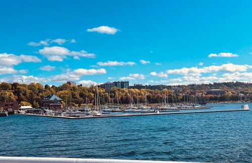 A serene waterfront scene with sailboats docked, surrounded by trees and buildings under a clear blue sky.