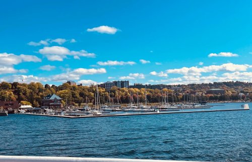 A serene waterfront scene with sailboats docked, surrounded by trees and buildings under a clear blue sky.