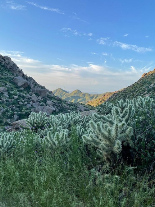 A scenic view of mountains framed by rocky terrain and lush green vegetation under a clear blue sky.