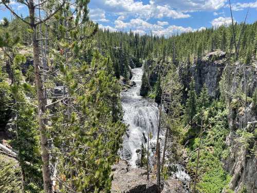 A scenic view of a waterfall cascading through a lush green forest under a blue sky with fluffy clouds.