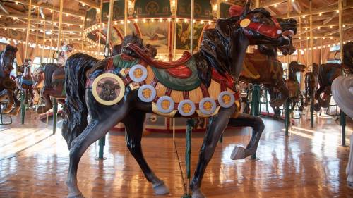 A beautifully painted black carousel horse with colorful decorations, set against a vintage carousel backdrop.