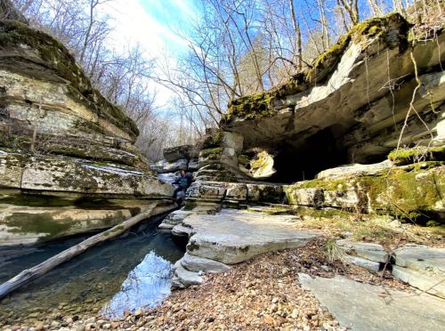A serene rocky landscape with moss-covered cliffs and a small stream running through, surrounded by bare trees.