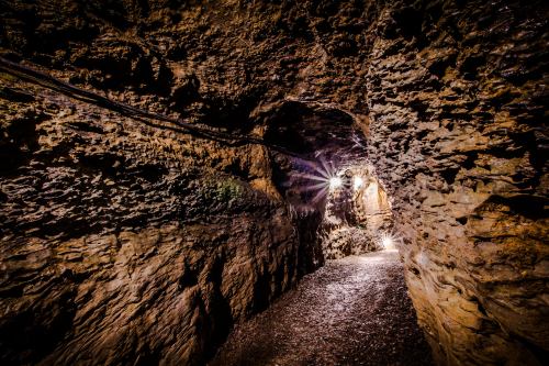 A dimly lit cave with rocky walls and a narrow path, illuminated by soft lights in the distance.
