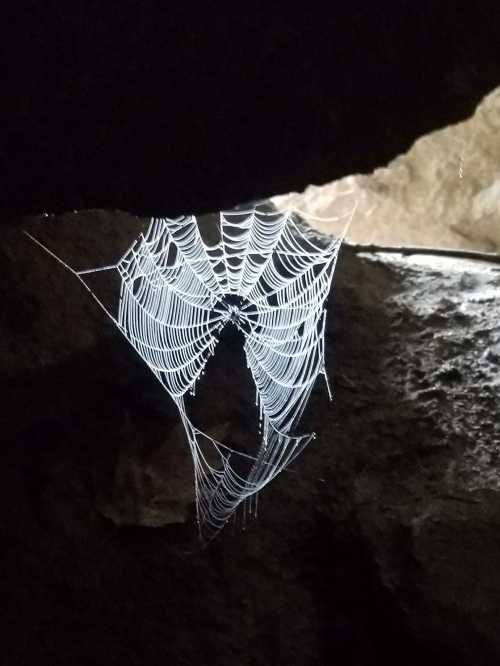 A delicate spider web glistens with dew, suspended between rocky surfaces in a dimly lit cave.