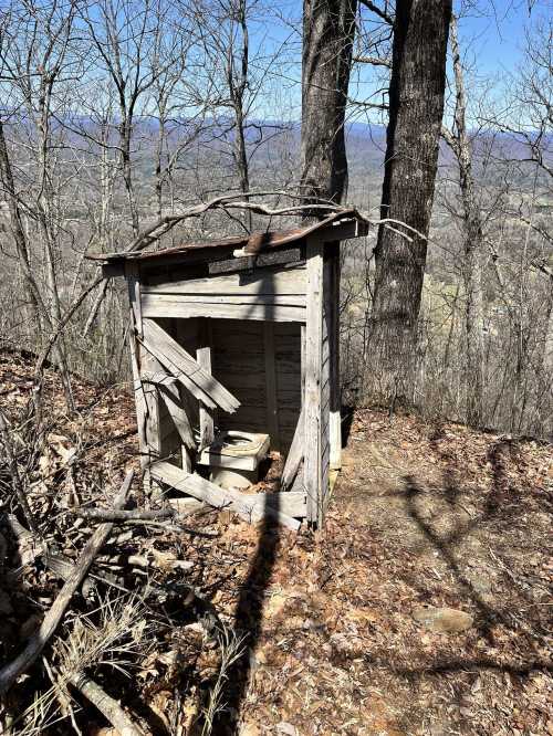 A dilapidated wooden structure sits in a wooded area, surrounded by trees and fallen leaves, with mountains in the background.