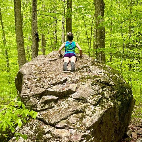 A person climbs a large rock in a lush green forest, surrounded by trees and foliage.