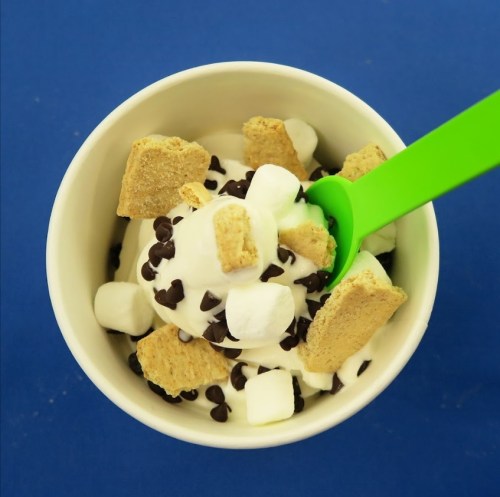 A cup of ice cream topped with mini marshmallows, chocolate chips, and graham cracker pieces, with a green spoon.