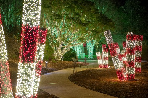 A pathway lined with festive red and white lights, surrounded by greenery, creating a magical nighttime atmosphere.