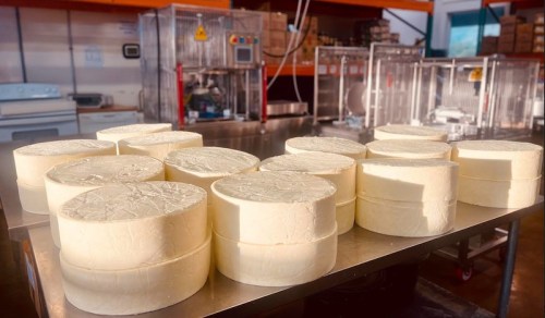 A table with several round cheese molds in a production facility, with equipment and storage in the background.