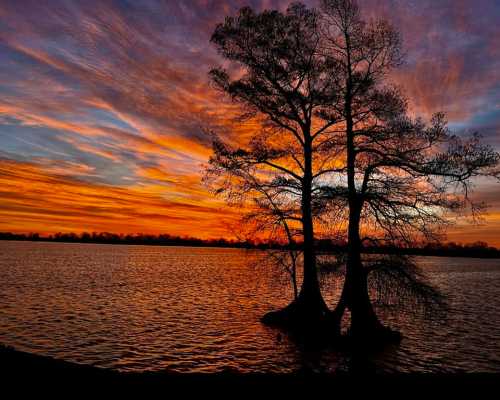 Silhouetted trees by a lake at sunset, with vibrant orange and purple skies reflecting on the water.