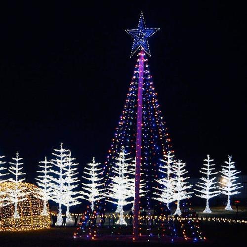 A brightly lit Christmas tree with a star on top, surrounded by illuminated trees and festive decorations at night.