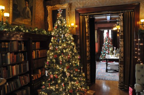 A cozy room decorated for the holidays, featuring a beautifully lit Christmas tree and a glimpse of another tree in the background.
