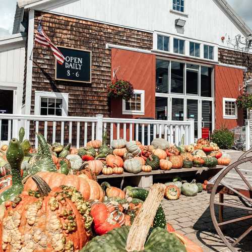 A rustic barn with an "Open Daily" sign, surrounded by colorful pumpkins and gourds on display.