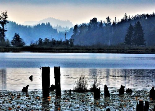 A serene lake scene with misty mountains in the background and weathered stumps emerging from the water.