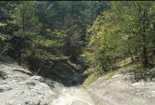 A rocky path leads through a forested area with trees and shrubs, showcasing a natural, rugged landscape.
