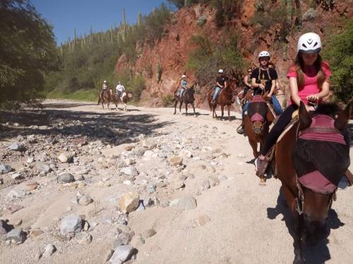 A group of people riding horses along a rocky path in a desert landscape with cacti in the background.
