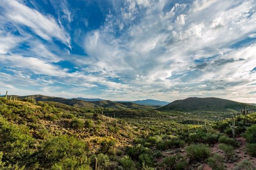 A scenic view of rolling green hills under a blue sky with fluffy clouds, dotted with cacti in the foreground.
