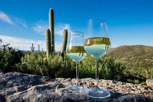 Two glasses of white wine sit on a stone ledge, with cacti and a clear blue sky in the background.