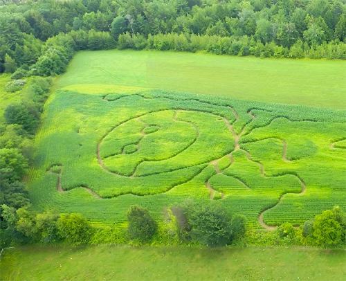 Aerial view of a green field with intricate patterns and designs carved into the crops, surrounded by trees.
