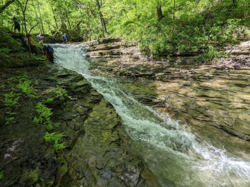 A rocky stream flows through a lush green forest, with people exploring along the water's edge.